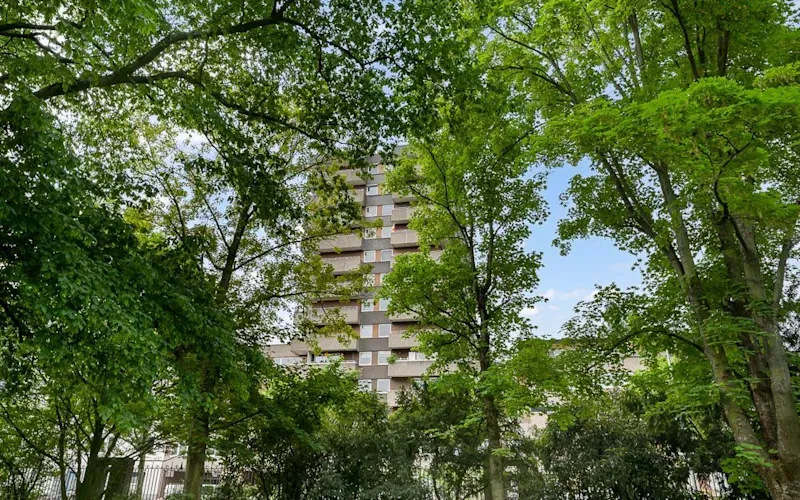 Ein mehrstöckiges Wohngebäude hinter grünen Bäumen an einem sonnigen Tag.